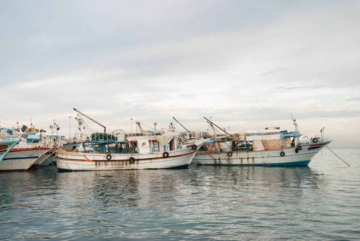 White fishing boats along the quay