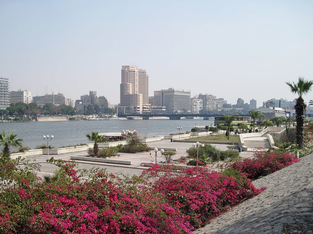 The Nile bank laid out in planted terraces, bougainvillea in flower in front of the river.