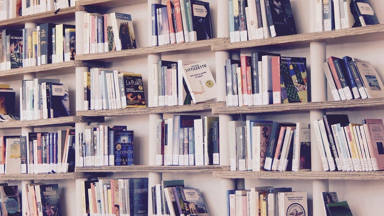 A wall of shelves filled with books, standing row upon row.