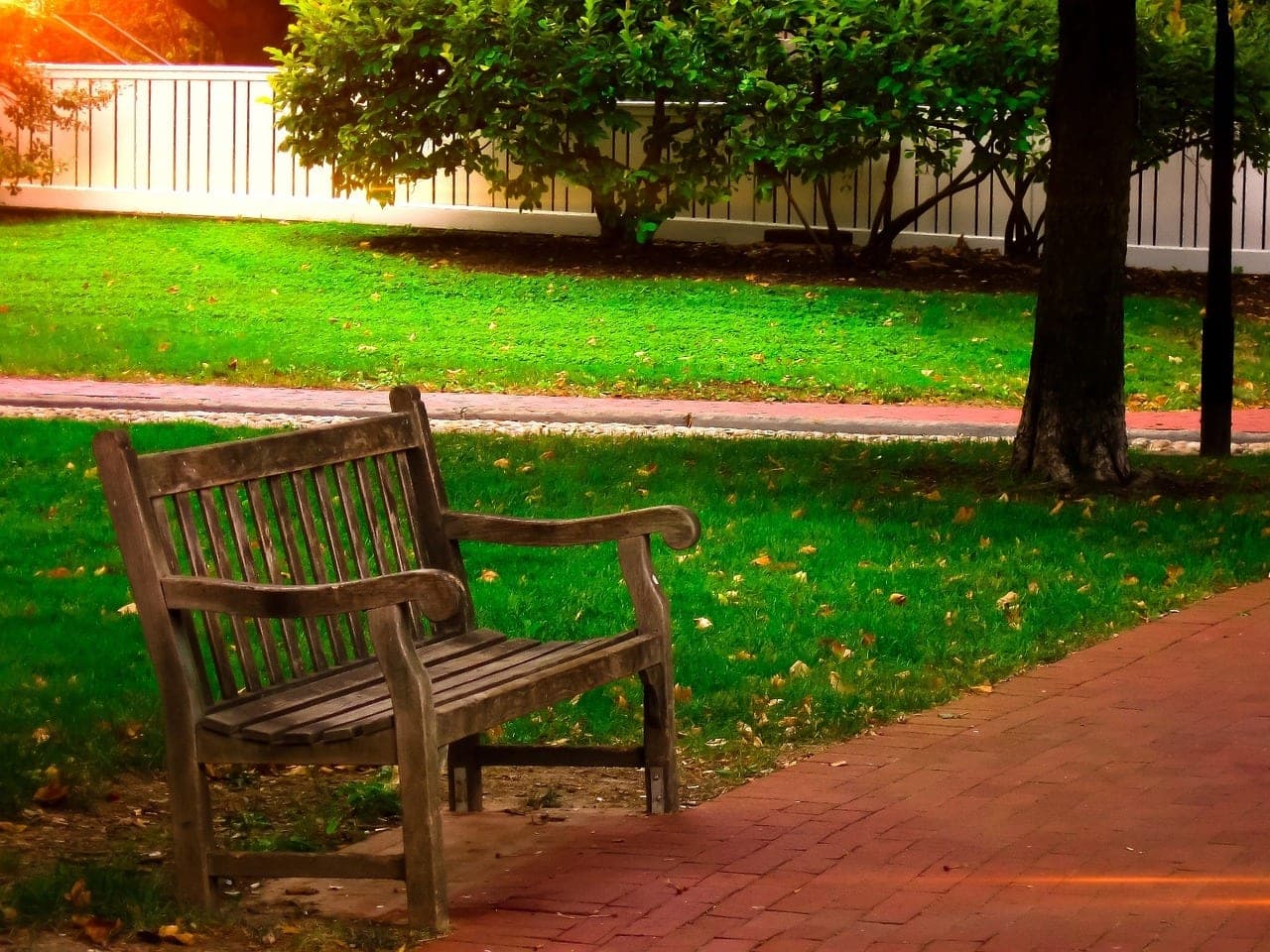 A wooden bench in the shade, at the edge of a lawn and a brick path.
