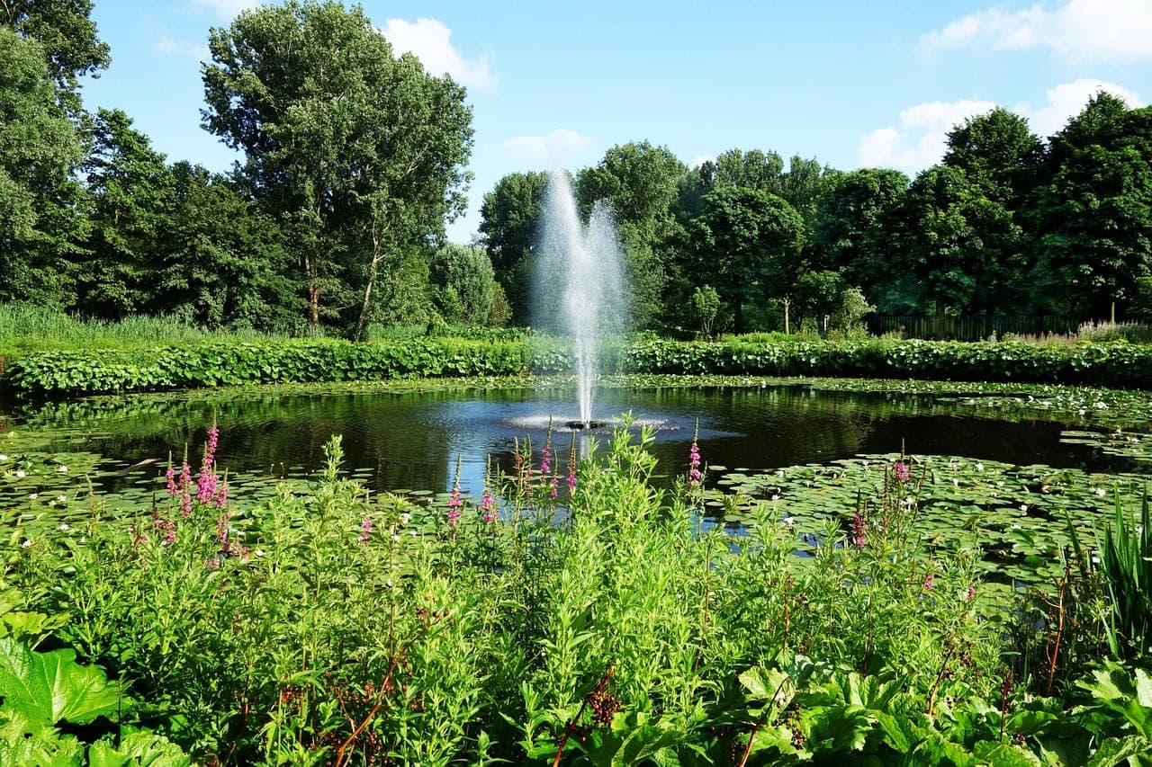 A jet of water in the middle of a park pond, ringed with greenery.