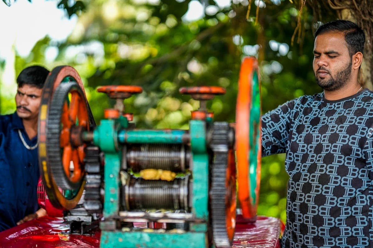 A cane press, painted rollers and stalks at the ready