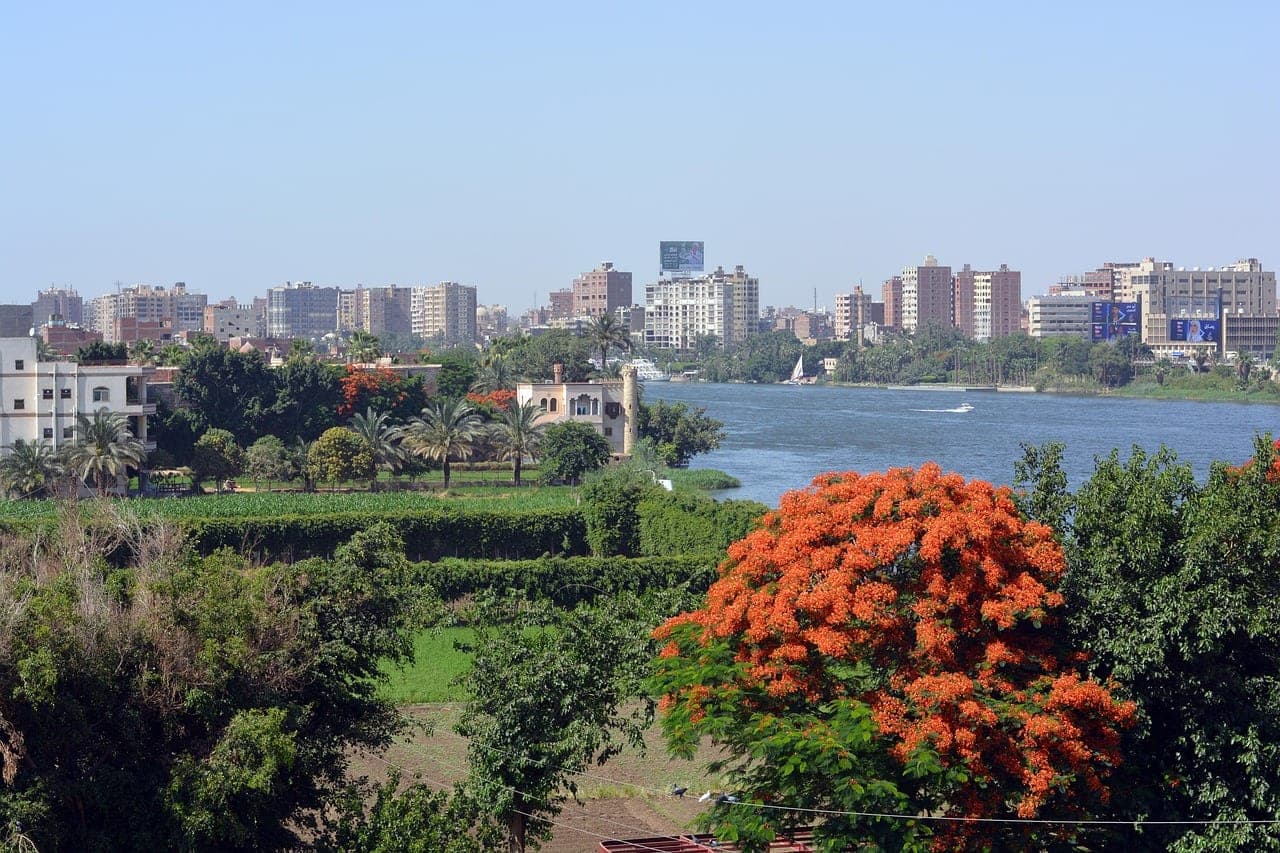 The Nile in Cairo, its banks planted with palms and a flame tree in bloom.