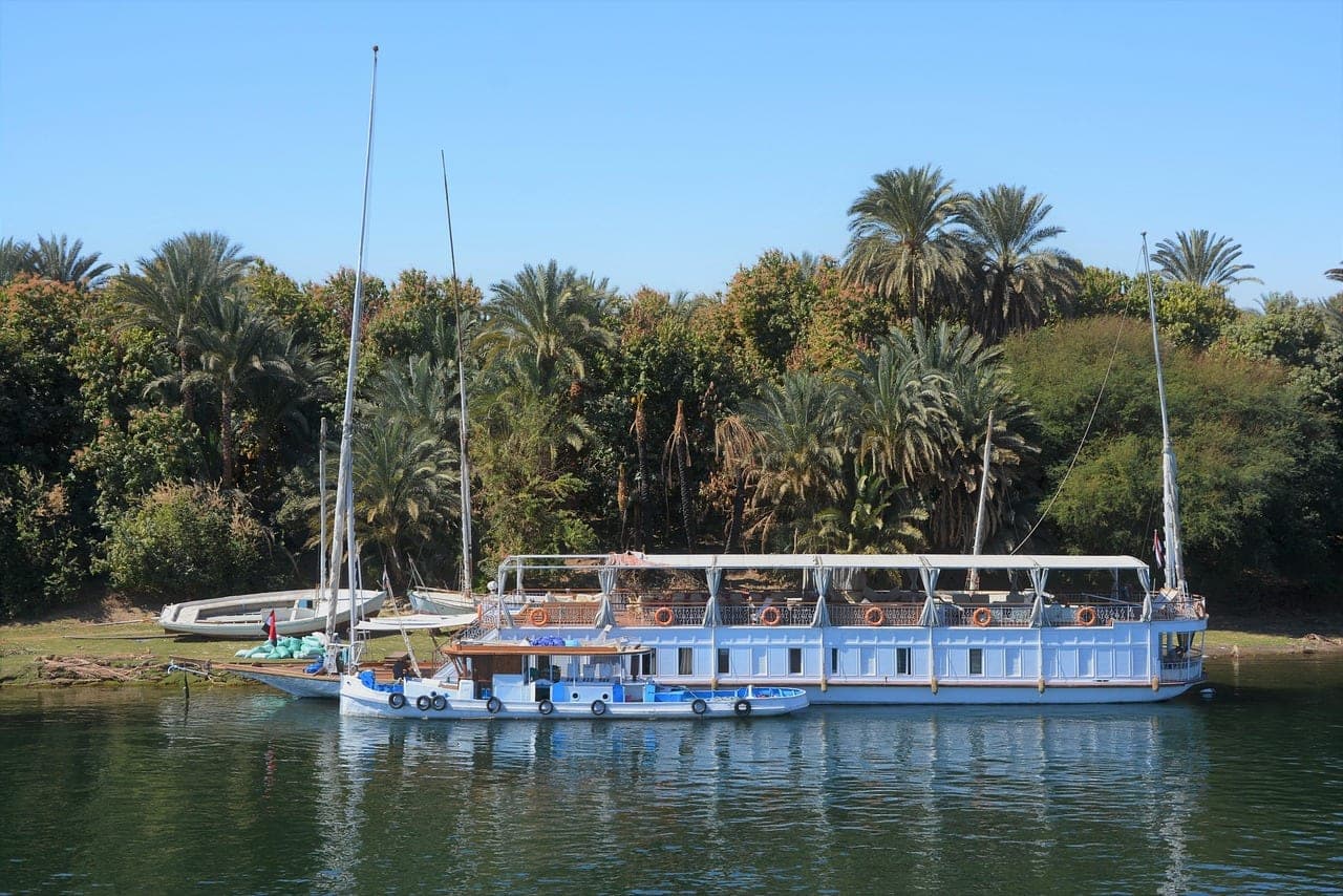 A passenger boat moored on the Nile, in front of a palm-lined bank.