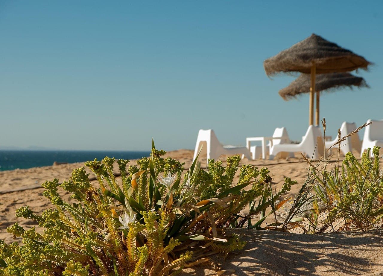 Straw parasols and white loungers on a sandy beach facing the sea.