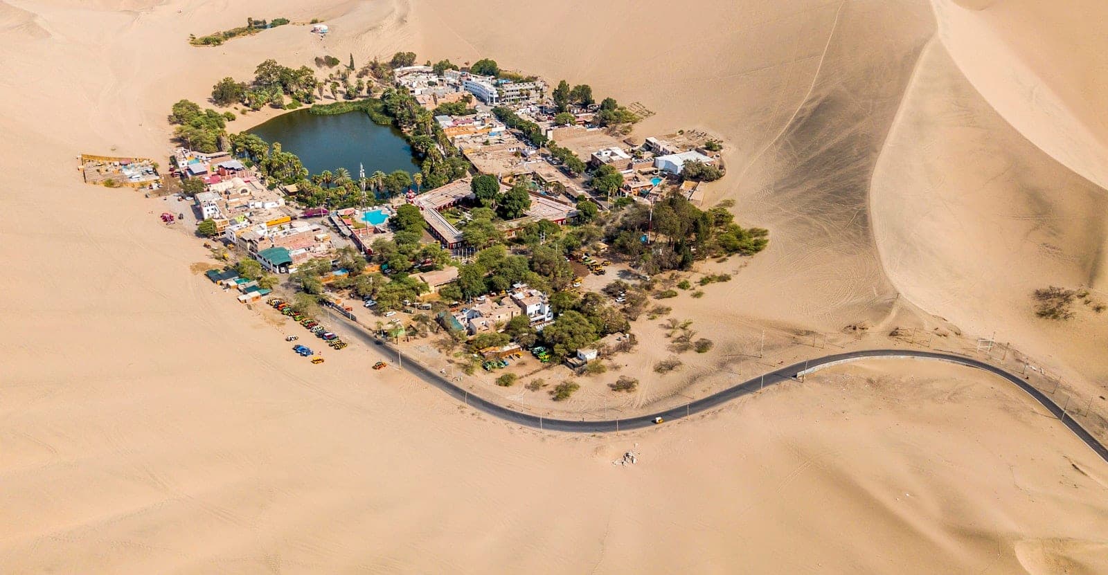 A lodge and its palm grove, ringed by the dune.