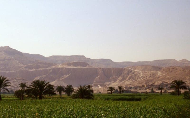 Green fields and palm trees at the foot of the desert cliffs of the west bank.