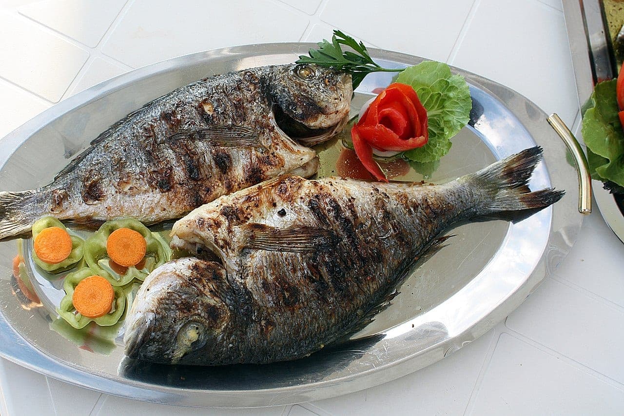 Grilled fish