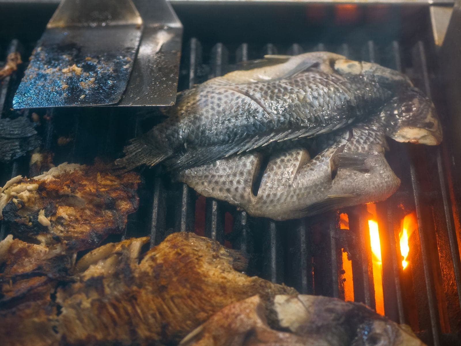 Fish on the grill