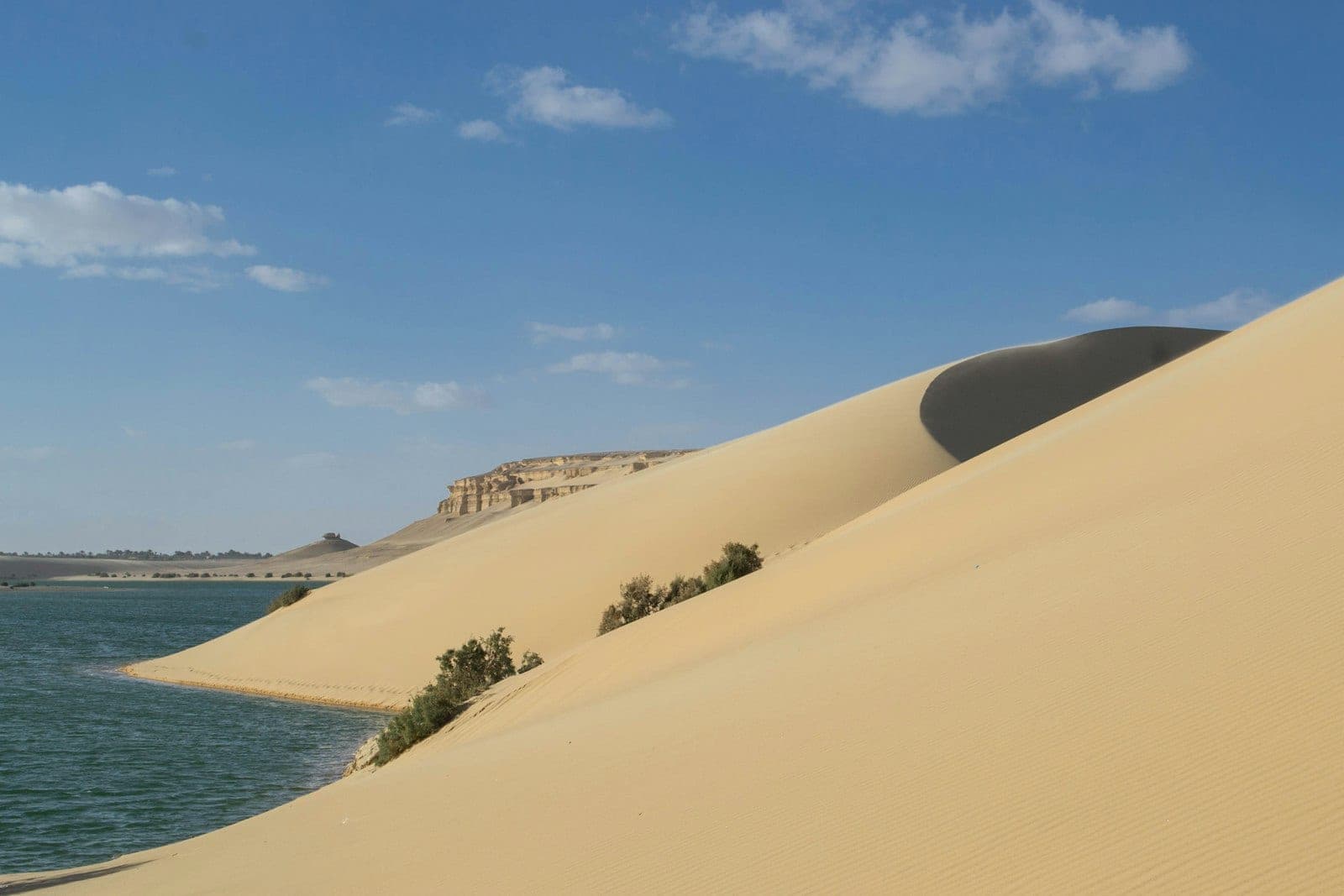 The dune runs straight into the water — the Wadi el-Rayan view.