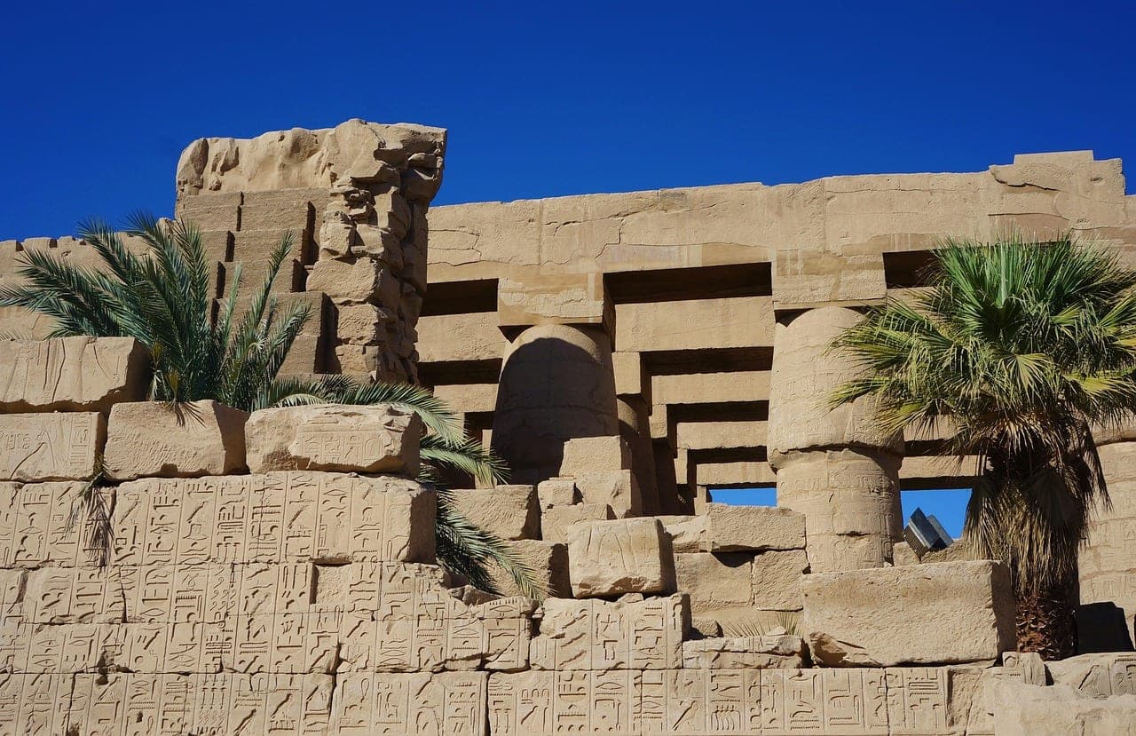 The temple precinct: columns, pylons and palms as far as you can see.