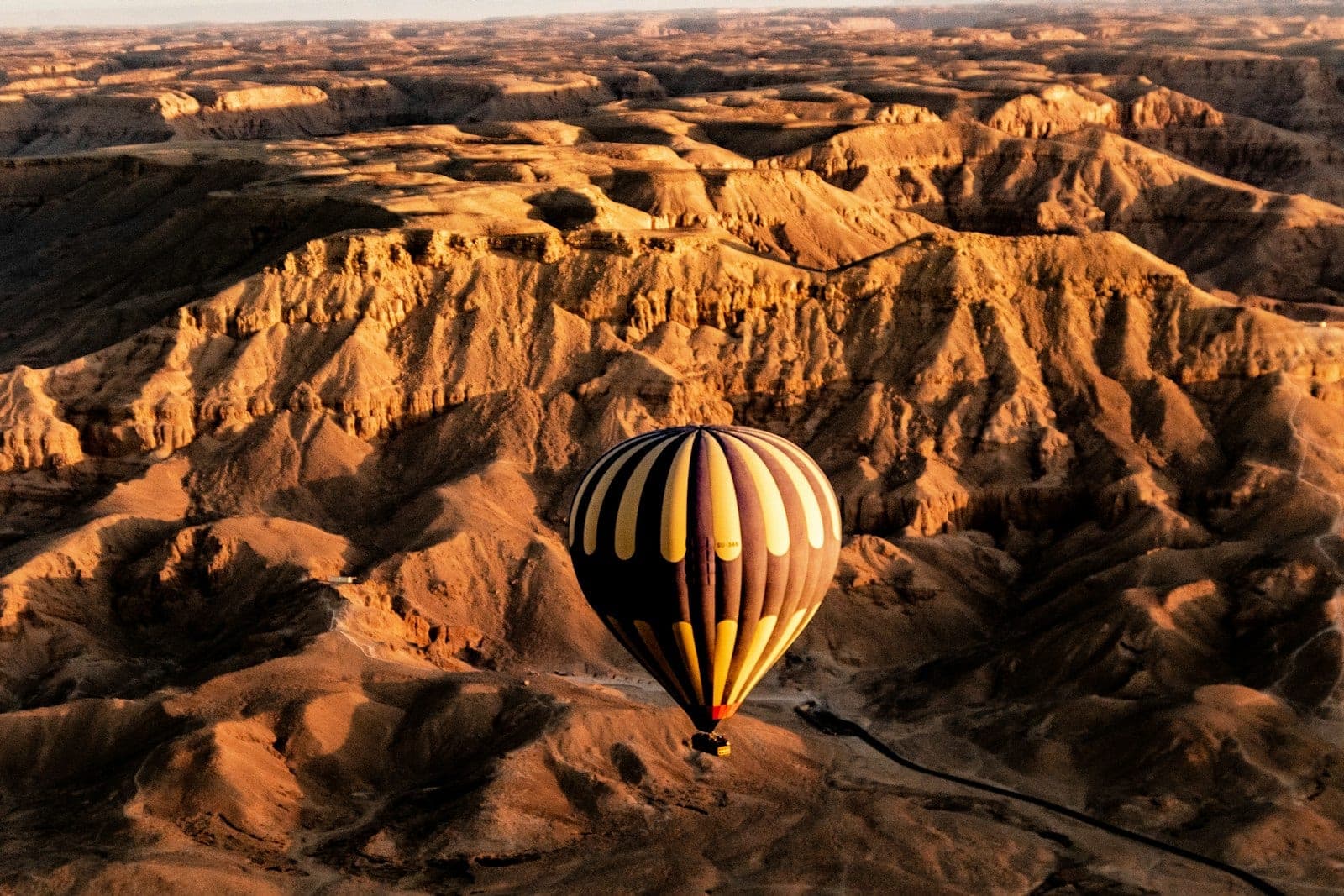 You drift with the wind: the pilot picks the altitude, not the heading.